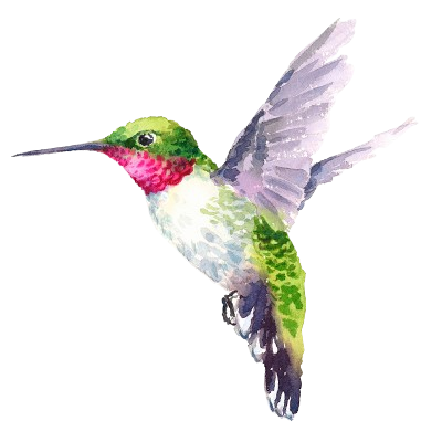 JillHummingbird-removebg-preview